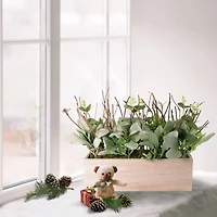 11" Lambs Ear Centerpiece in Woodgrain Planter