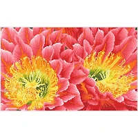 Diamond Dotz® Intermediate Desert Blooms Pre-Framed Diamond Painting Kit