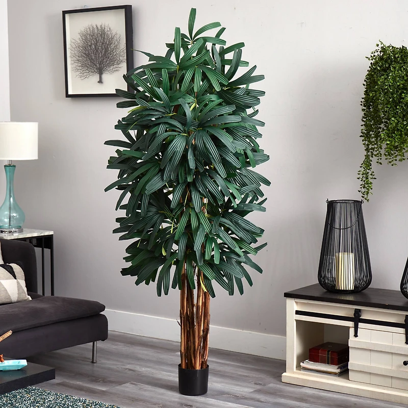 6ft. Potted Green Raphis Palm Tree