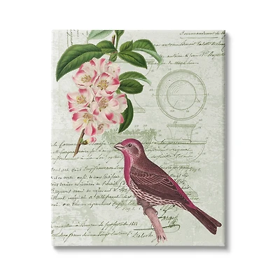 Stupell Industries Antique Bird House Patent Vintage Tree Florals Rosy-Finch Canvas Wall Art