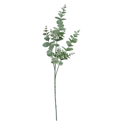 32" Light Green Eucalyptus Stem by Ashland®