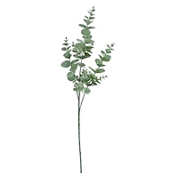 32" Light Green Eucalyptus Stem by Ashland®