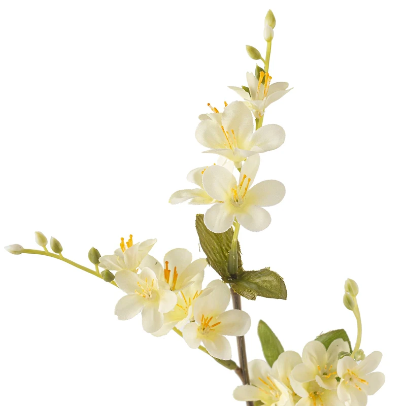 12 Pack: Cream Vinca Spray by Ashland®