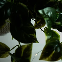 24" UV Resistant Artificial LED Pothos in White Hanging Basket