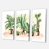 Designart - Indoor Green Home House Plants I