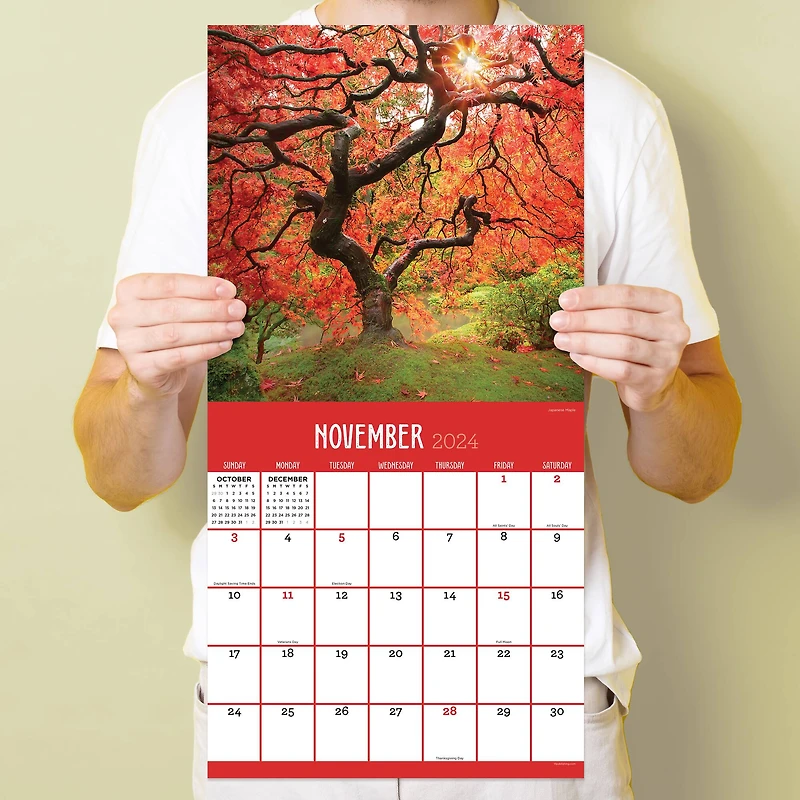 TF Publishing 2024 Trees Wall Calendar