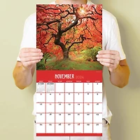 TF Publishing 2024 Trees Wall Calendar