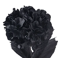 12 Pack: Black Hydrangea Stem by Ashland®