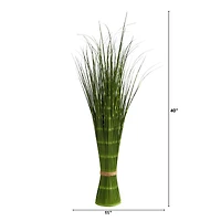 3ft. Onion Grass
