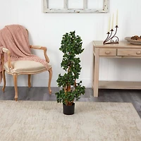 3.5ft. Potted English Ivy Spiral Tree