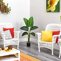 4ft. Potted Travelers Palm