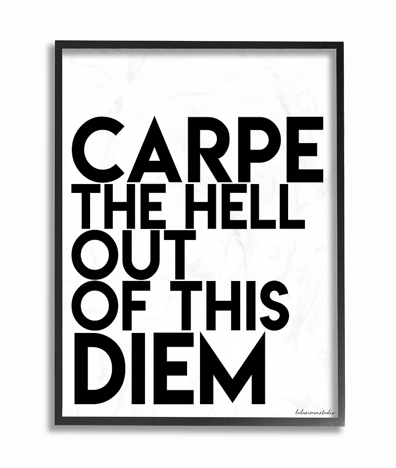Stupell Industries Carpe Hell Out Of This Diem Typography Black Framed Wall Art