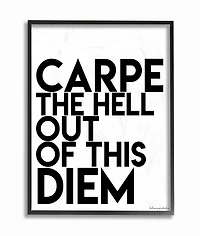 Stupell Industries Carpe Hell Out Of This Diem Typography Black Framed Wall Art