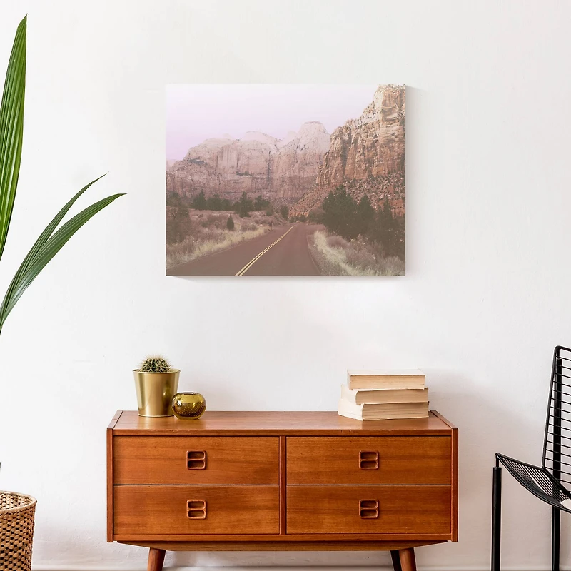 Blush Canyons 20" x 16" Canvas Wall Art