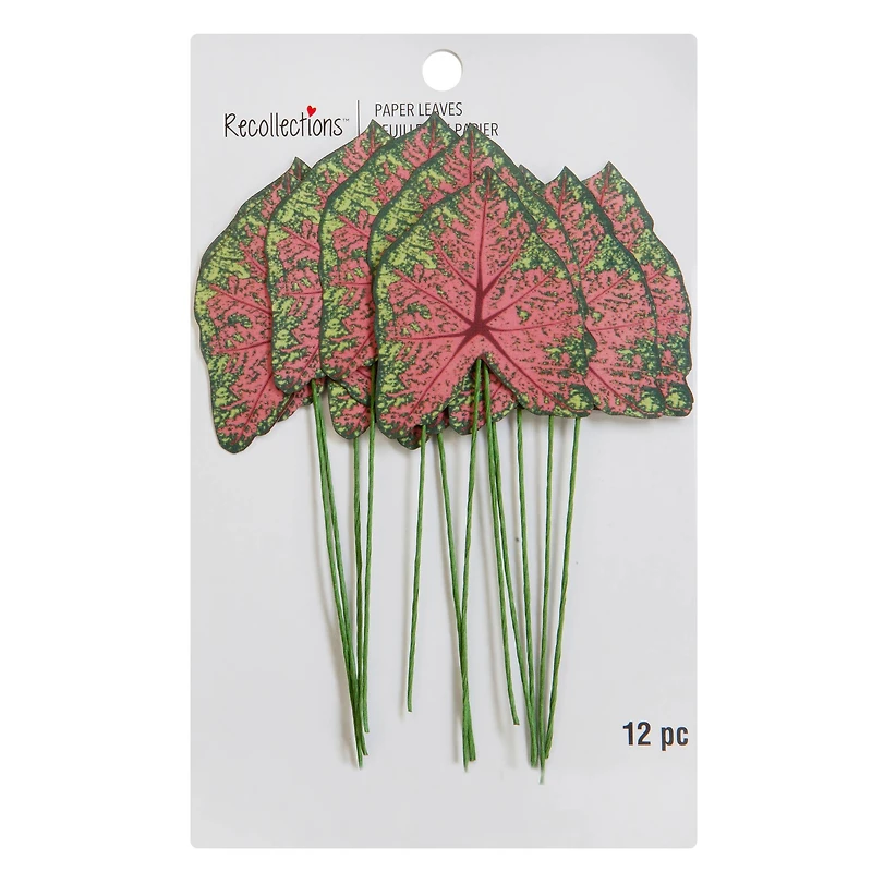 Green & Pink Paper Caladium Leaves by Recollections™