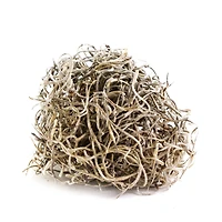 SuperMoss® Natural Preserved Spanish Moss, 24qt.
