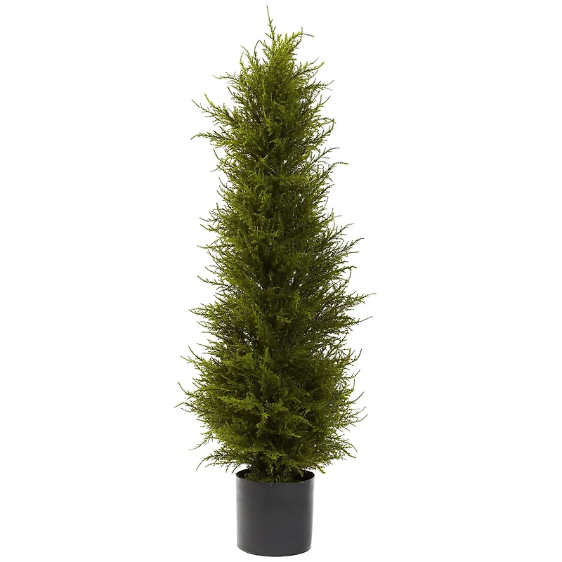 3.5ft. Potted Cedar Tree