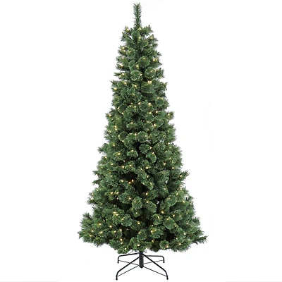 7.5ft. Pre-Lit Pilchuck Pine Artificial Christmas Tree, Warm White LED Lights