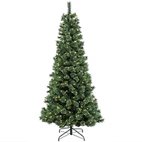 7.5ft. Pre-Lit Pilchuck Pine Artificial Christmas Tree, Warm White LED Lights