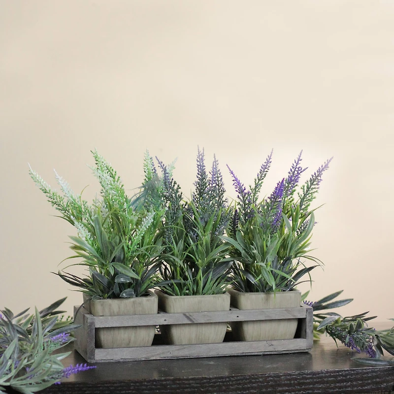 10.25" Lavender in Petite Planter with Distressed Wood Tray