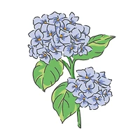 Hydrangeas Layering Stencils by Recollections™