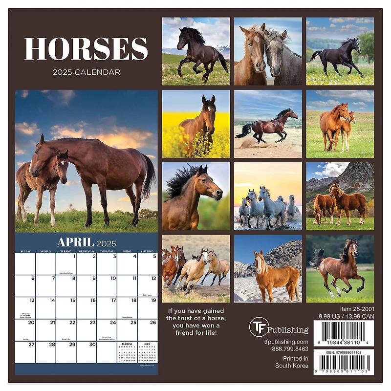 TF Publishing 2025 Horses Mini Calendar