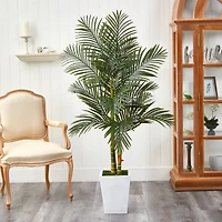 5.5ft. Golden Cane Artificial Palm Tree in White Metal Planter