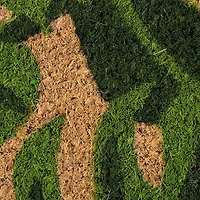 DII® J&M Palm Leaves Vinyl Back Coir Doormat