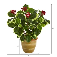 14" Variegated Holly Plant in Ceramic Planter