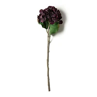 Black & Purple Hydrangea Stem by Ashland®