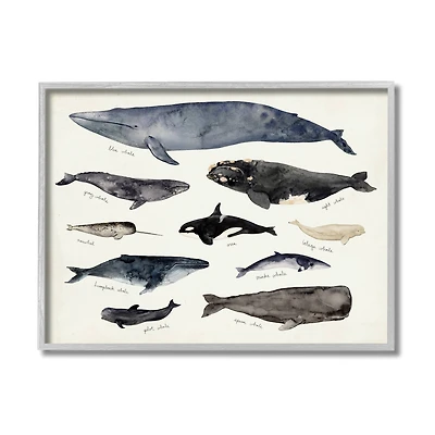 Stupell Industries Vintage Nautical Chart of Whales Ocean Life in Gray Frame Wall Art