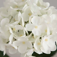 20" Hydrangea Flower Stems