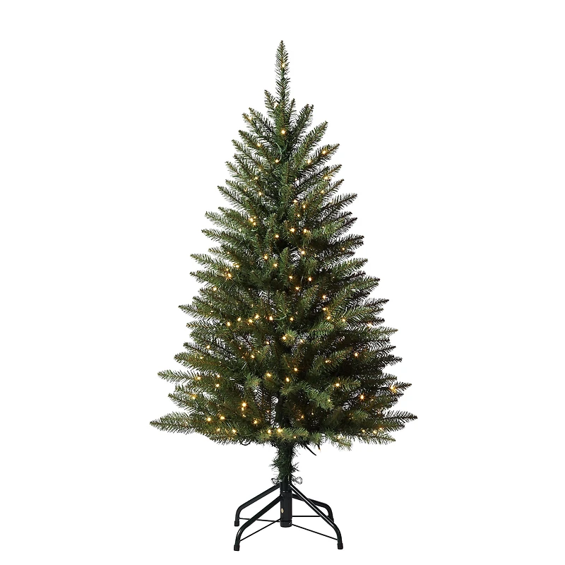 4ft. Pre-Lit Dumont Fir Artificial Christmas Tree, Warm White LED Lights