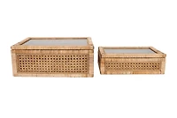 Hello Honey® Cane & Rattan Display Box with Glass Lid Set