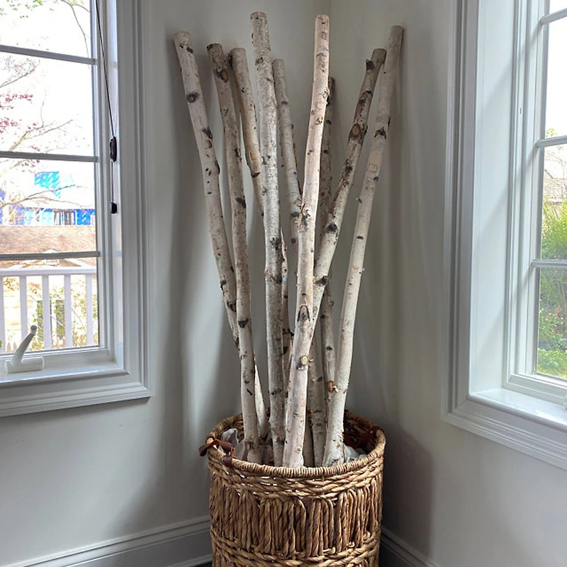 Wilson® Enterprises White Birch Poles