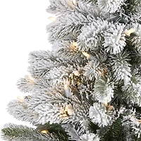 5ft. Pre-Lit South Carolina Spruce Artificial Christmas Tree, Clear LED Lights