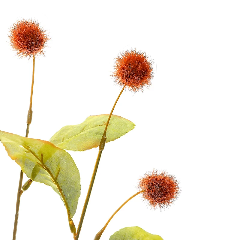 35" Brown Pom Pom Stem by Ashland® 