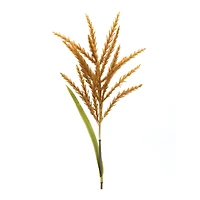 34" Orange Astilbe Stems, 12ct.