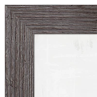 Tulips in Taupe Western Framed Print