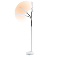 OttLite 59" Wingshade Floor Lamp