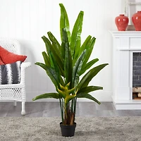 4.5ft. Potted Traveler's Palm Tree
