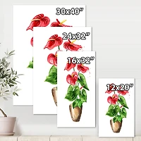 Designart - Anthurium Tailflower Or Flamingo Flower In The Pot