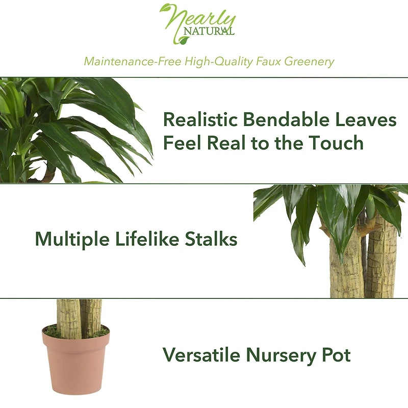 5ft. Corn Stalk Dracaena Silk Plant 