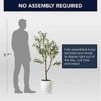 American Art Decor 4ft. Olive Tree in White Ceramic Pot