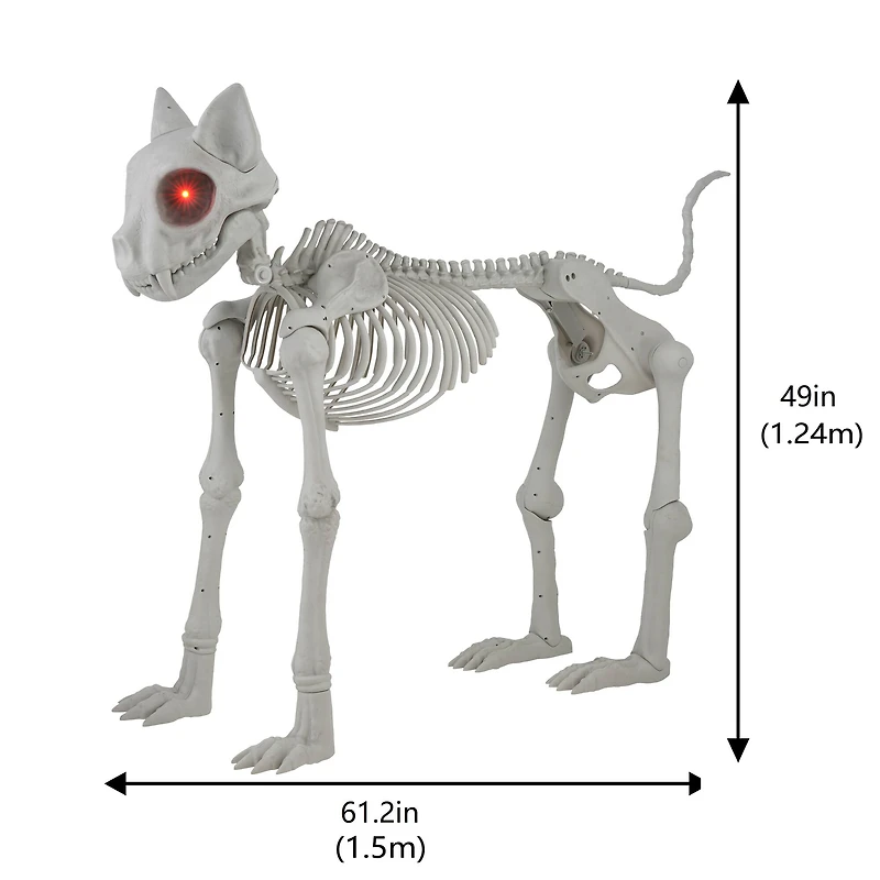 5ft. Oversized Posable Cat Skeleton by Ashland®