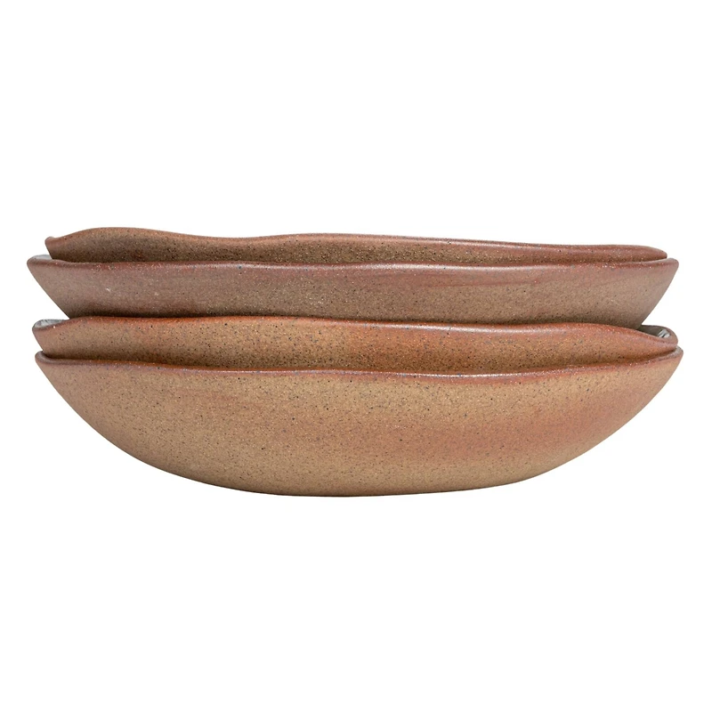 Hello Honey® 9" Insect & Bird Design Stoneware Plate Set