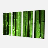 Designart - Green Bamboo Forest