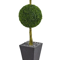 6ft. UV Resistant Artificial Boxwood Triple Ball Topiary Tree in Slate Planter