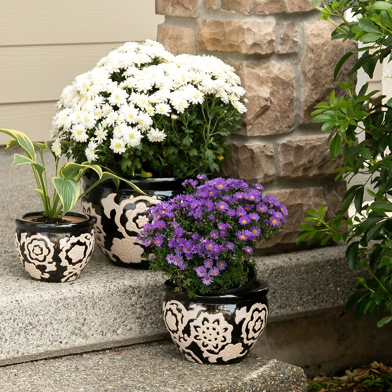 Floral Nights Ceramic Planter Set