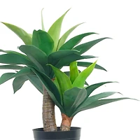 20" Potted Green Agave Plant by Ashland®